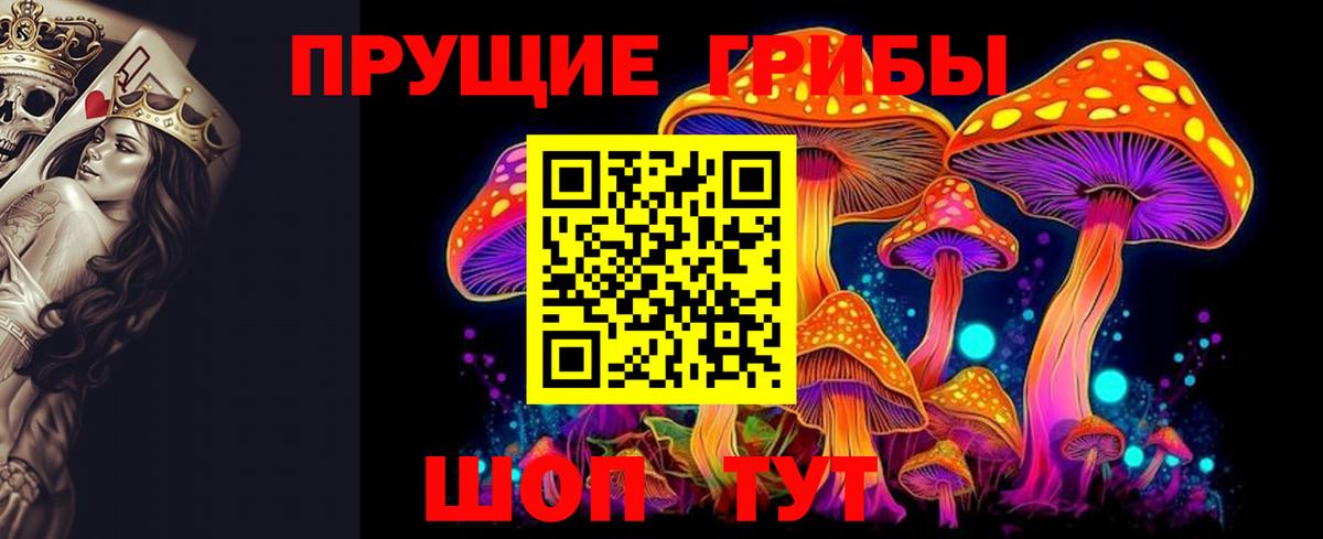 Славянск-на-Кубани  Галлюциногенные грибы Cubensis  Вход с VPN 